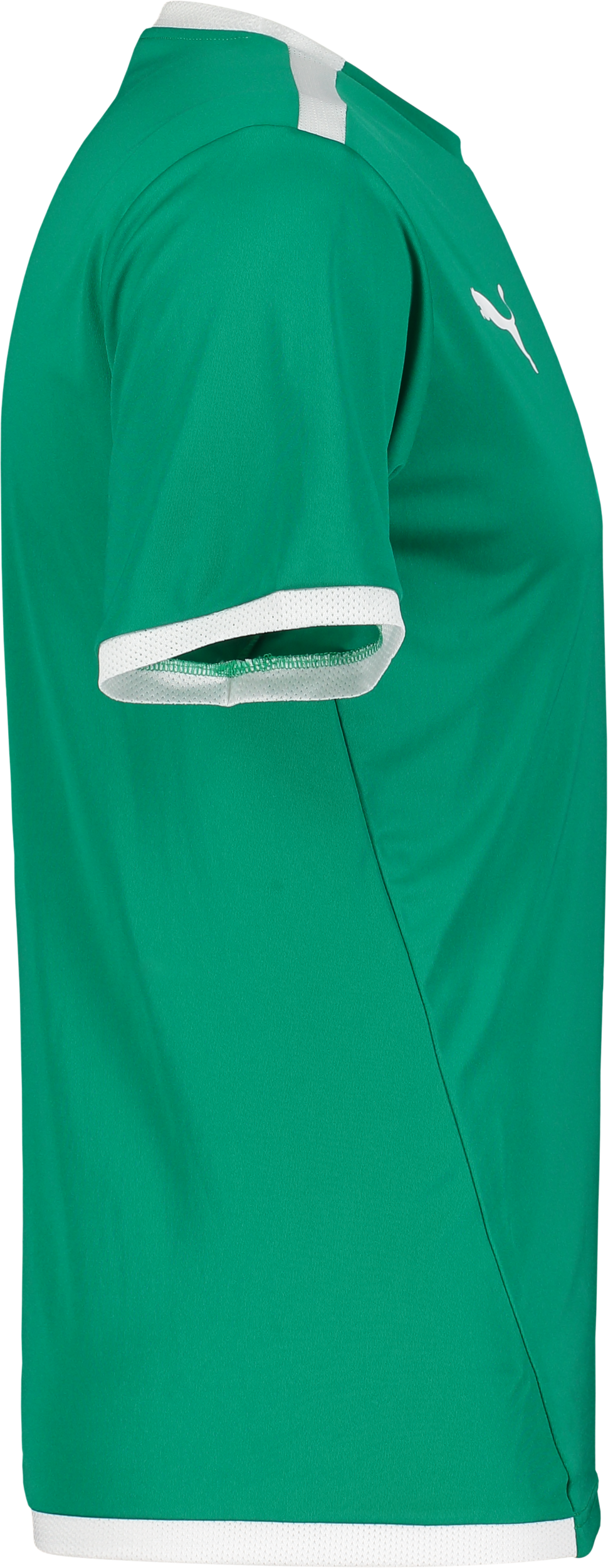 PUMA, T Liga Ss Jsy Jr