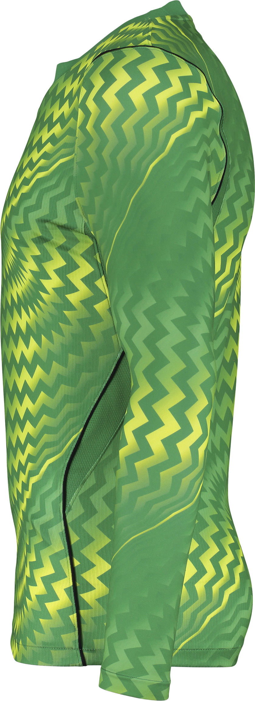 NIKE, GARDIEN VI GK LS JSY JR