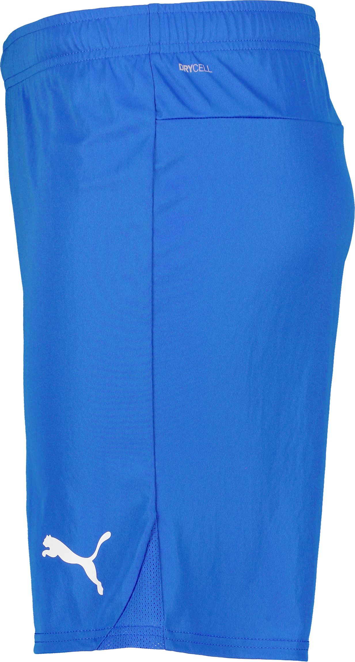 PUMA, T Goal Shorts