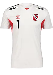 393963113101 HUMMEL Authentic Pl Jersey Ss 393963113101 HUMMEL Authentic Pl Jersey Ss Standard Small1x1