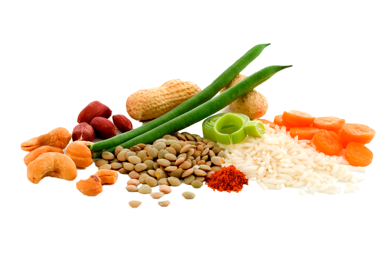 ADVENTURE FOOD, Frystorkad Mat