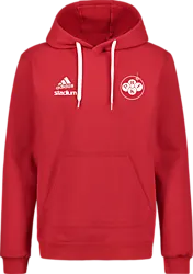 358922103101 ADIDAS Ent22 Hoody 358922103101 ADIDAS Ent22 Hoody Standard Small1x1