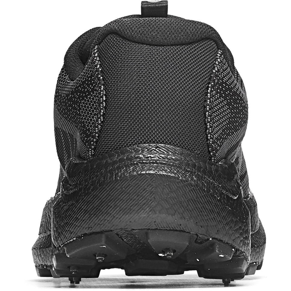 ICEBUG, M Myr Bugrip