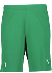 392286105101 PUMA T Goal Shorts Jr 392286105101 PUMA T Goal Shorts Jr Standard Small1x1