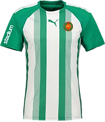 360819106101 PUMA T Liga Striped Jsy 360819106101 PUMA T Liga Striped Jsy Standard Small1x1