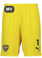 391942107101 PUMA T Goal Shorts 391942107101 PUMA T Goal Shorts Standard Small1x1