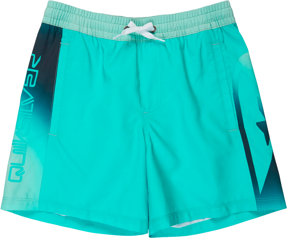 
QUIKSILVER, 
J EVERYDAY HOLMES VOLLEY YTH 16, 
Detail 1
