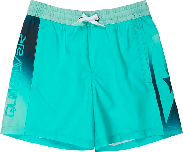 QUIKSILVER J EVERYDAY HOLMES VOLLEY ЮТ 16