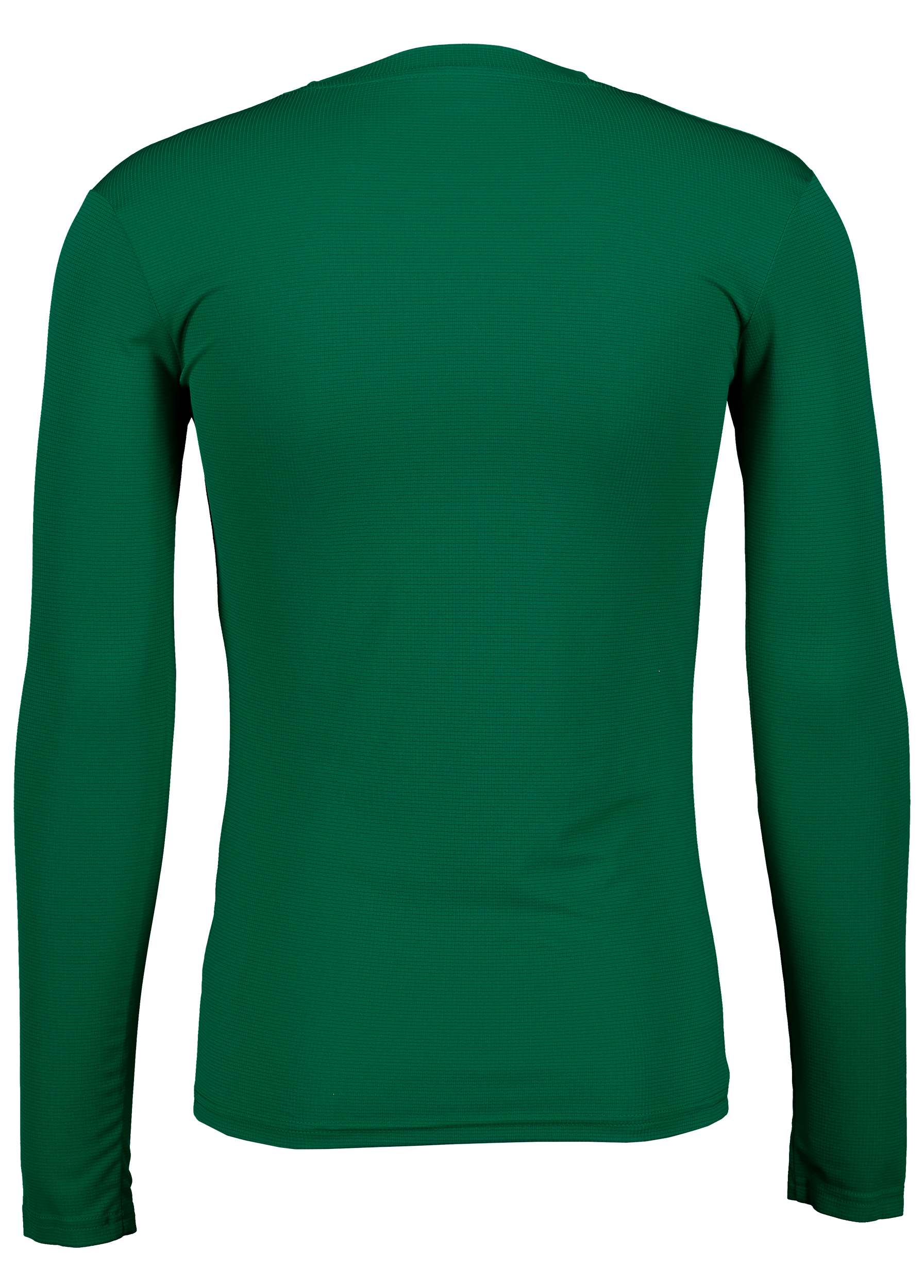 PUMA, T Goal Bl Ls Jsy Jr