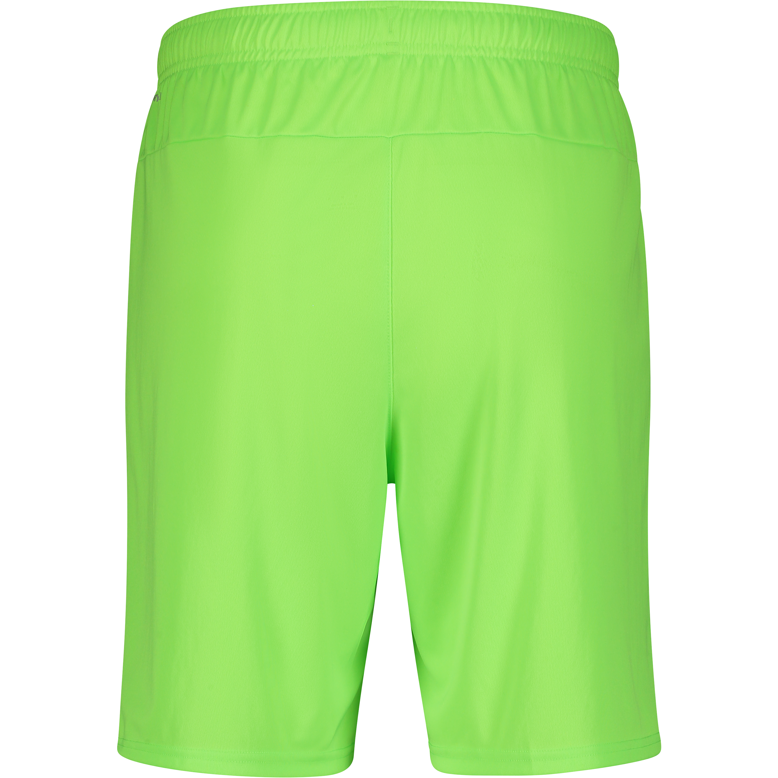 PUMA, T Goal Shorts