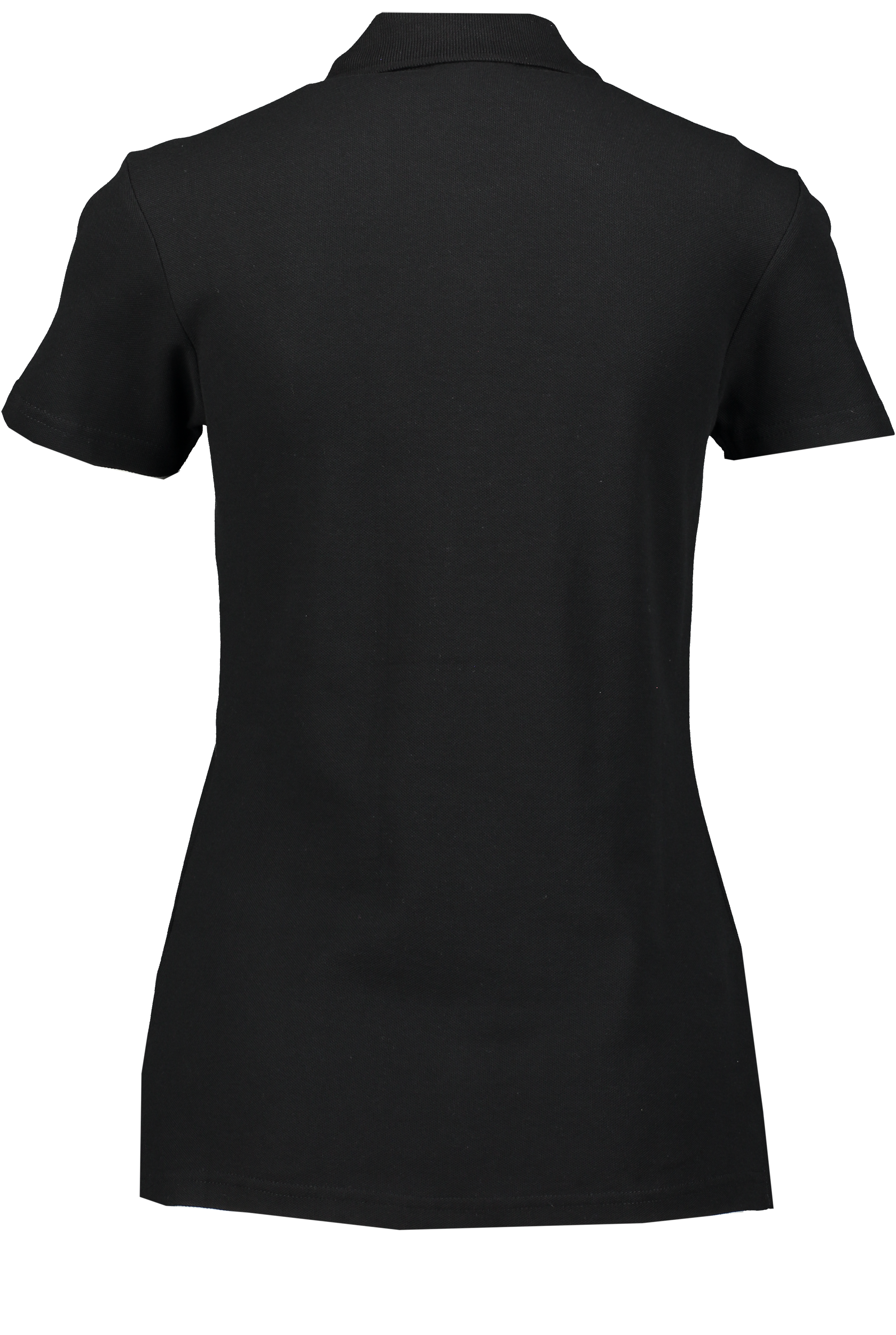 CLIQUE, Basic Polo W