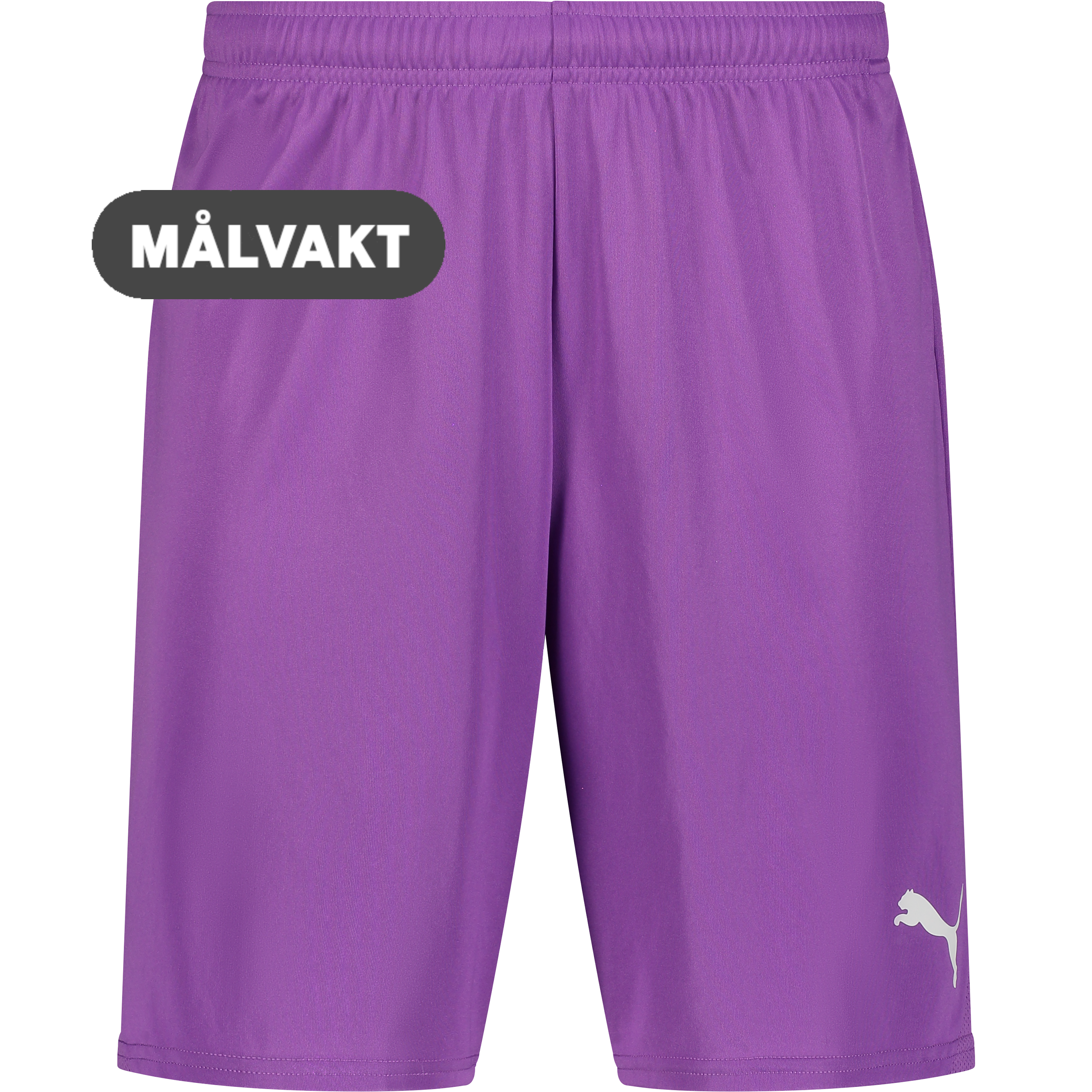 
PUMA, 
T Goal Shorts, 
Detail 1
