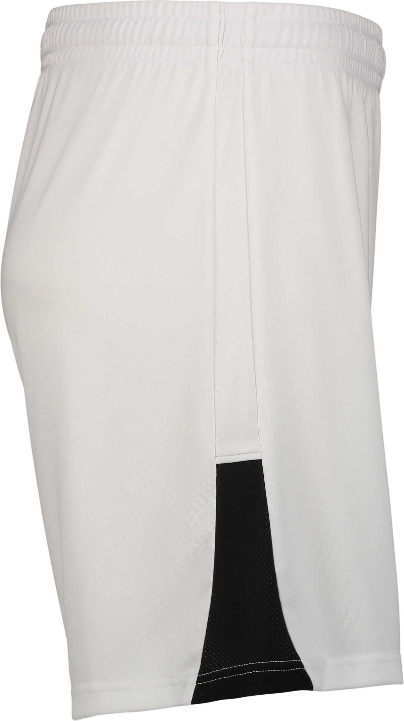PUMA, TEAMLIGA26 SHORTS