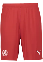 392286101101 PUMA T Goal Shorts Jr 392286101101 PUMA T Goal Shorts Jr Standard Small1x1