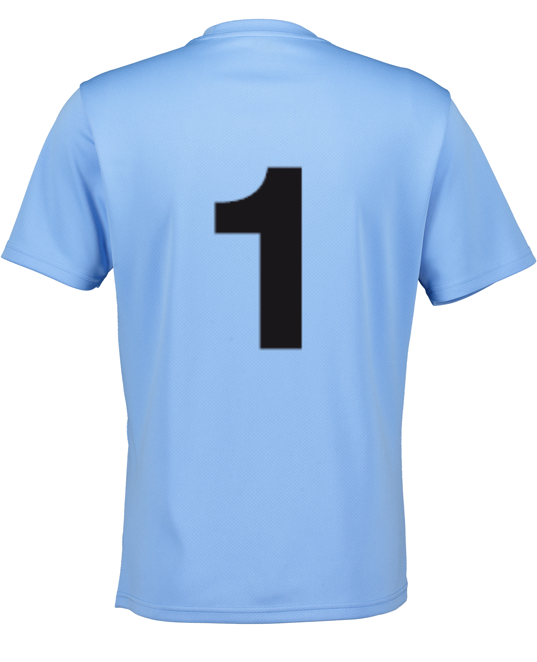 PUMA, T Goal Trg Jsy Jr