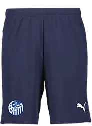 391942106101 PUMA T Goal Shorts 391942106101 PUMA T Goal Shorts Standard Small1x1