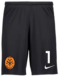 298936101101 NIKE Park III Short 298936101101 NIKE Park III Short Standard Small1x1