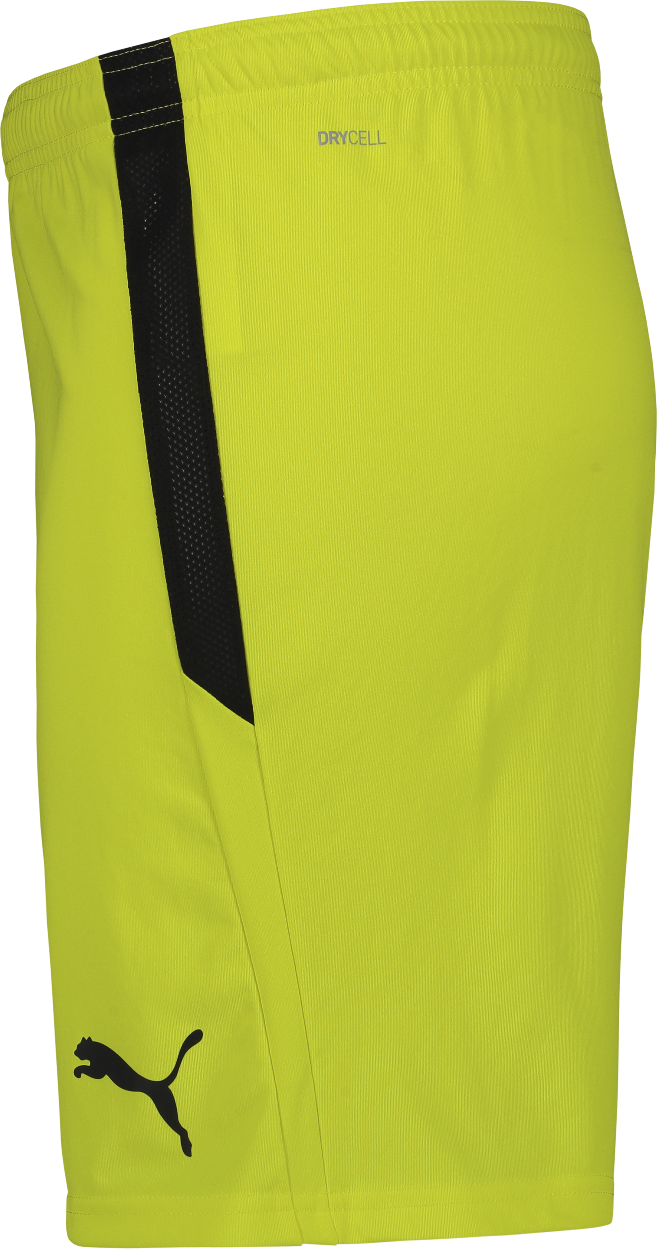 PUMA, T Liga Shorts Jr