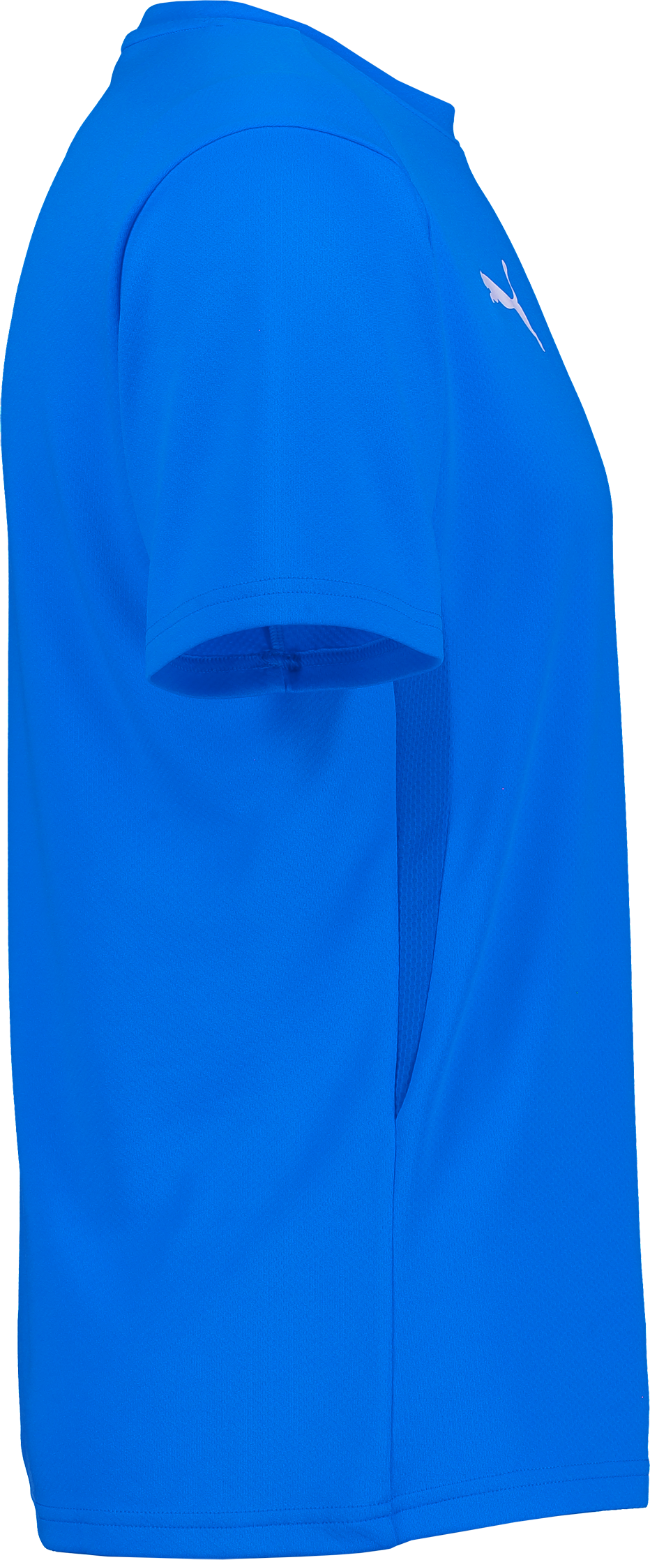 PUMA, T Goal Trg Jsy Jr