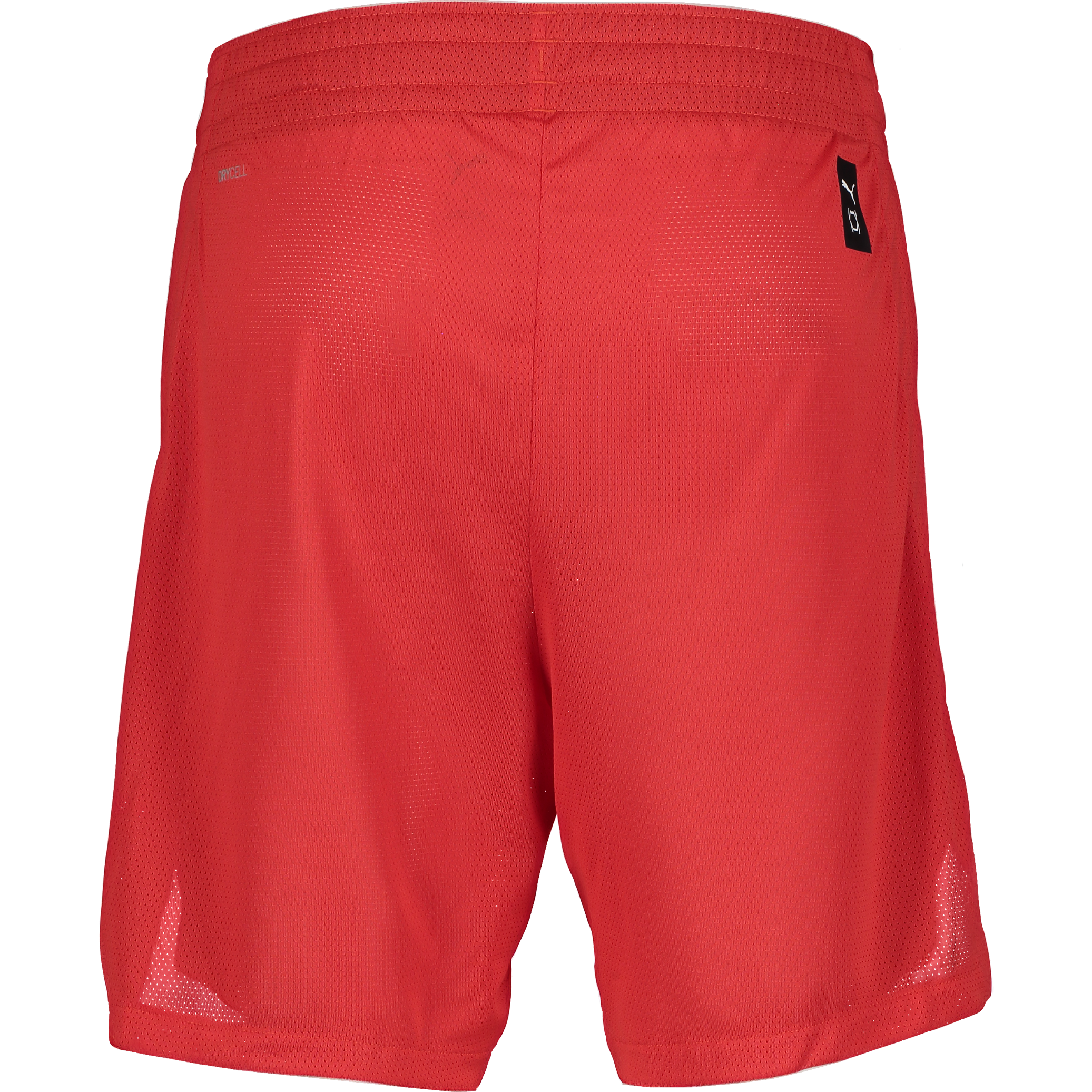 PUMA, TEAMJAWS PRACTICE SHORTS JR
