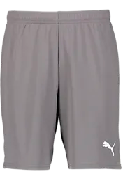 391942108101 PUMA T Goal Shorts 391942108101 PUMA T Goal Shorts Standard Small1x1