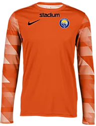 310522105101 NIKE Park Iv Gk Jsy Jr 310522105101 NIKE Park Iv Gk Jsy Jr Standard Small1x1