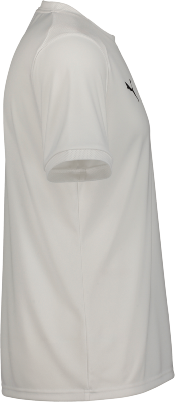 PUMA, TEAMLIGA26 MATCHDAY JERSEY
