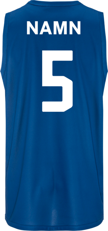 CRAFT, BASKET 2.0 REVERSIBLE SINGLET