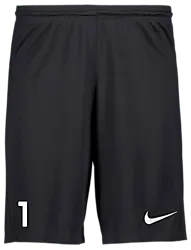 298936101101 NIKE Park III Short 298936101101 NIKE Park III Short Standard Small1x1