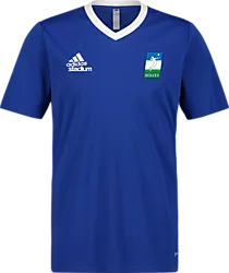 358910109101 ADIDAS Ent22 Jsy Tee Jr 358910109101 ADIDAS Ent22 Jsy Tee Jr Standard Small1x1