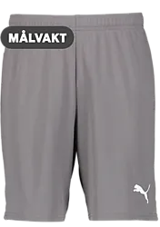 391942108101 PUMA T Goal Shorts 391942108101 PUMA T Goal Shorts Standard Small1x1