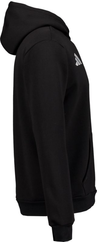ADIDAS, ENT26 HOODY JR