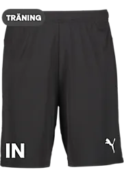 391942103101 PUMA T Goal Shorts 391942103101 PUMA T Goal Shorts Standard Small1x1