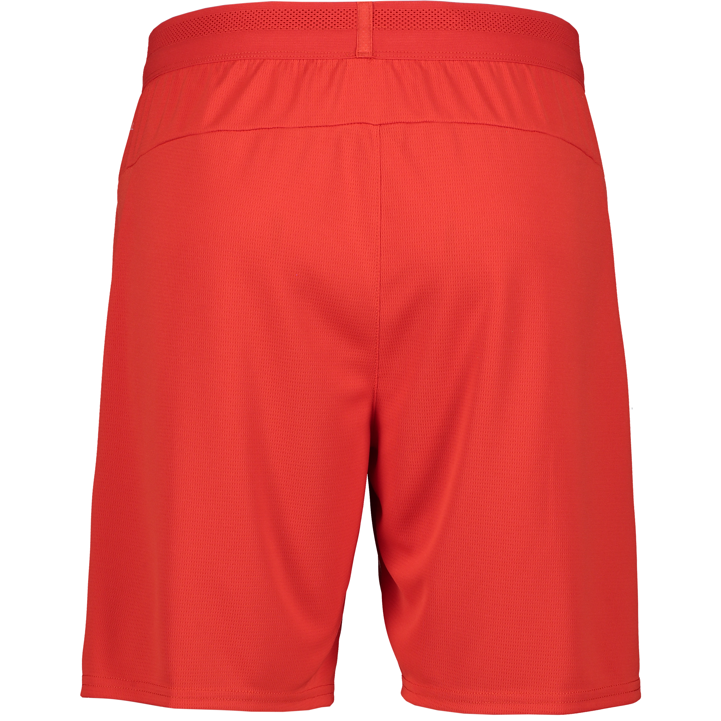 PUMA, Teamcup Shorts
