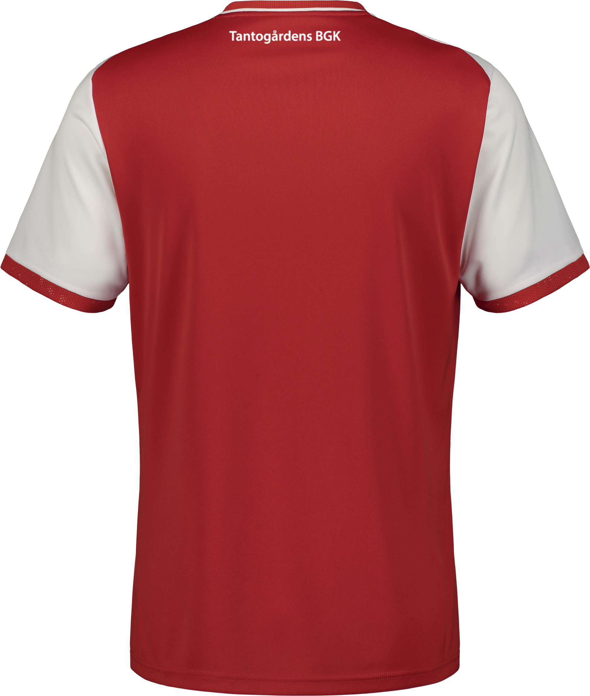 PUMA, TEAMLIGA26 MATCHDAY JERSEY