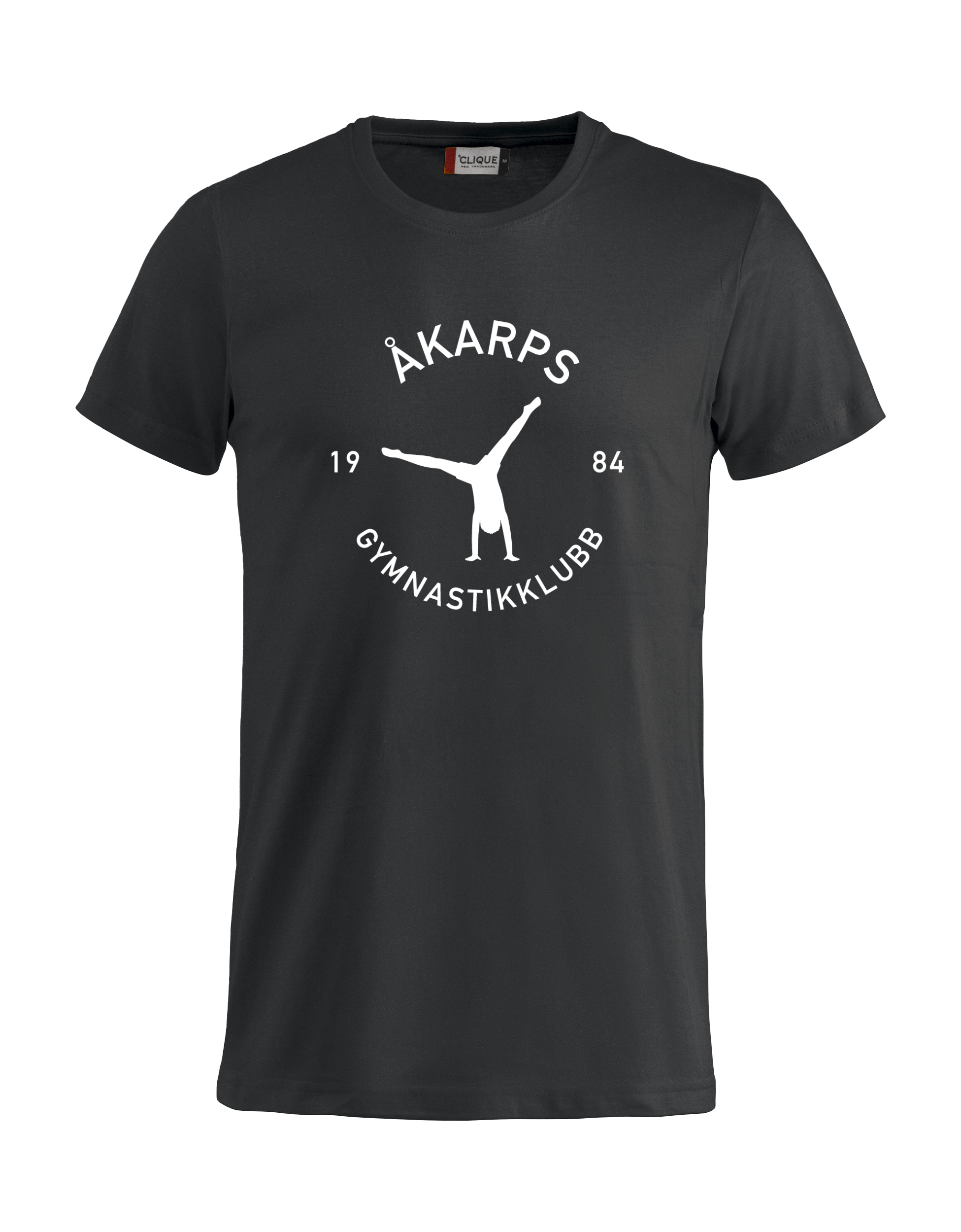 
CLIQUE, 
Basic-T, 
Detail 1
