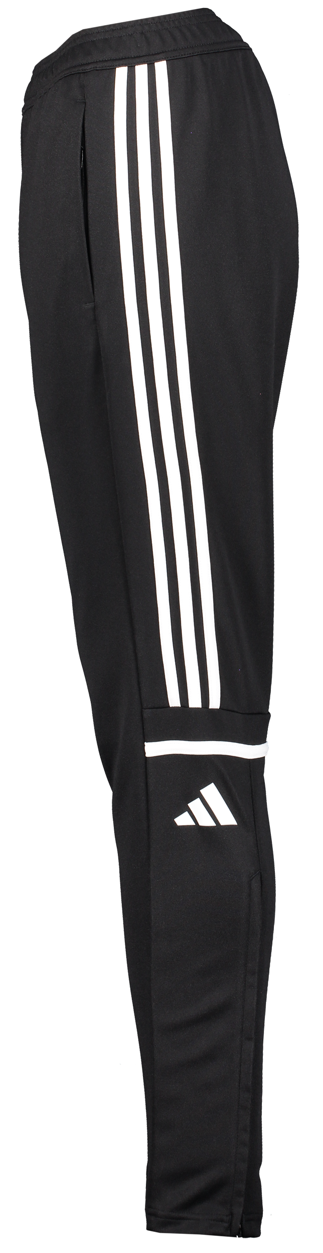 ADIDAS, Squad25 Tr Pnt W