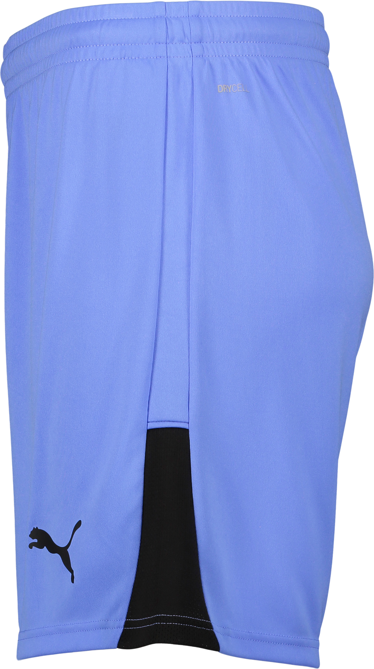 PUMA, TEAMLIGA26 SHORTS JR