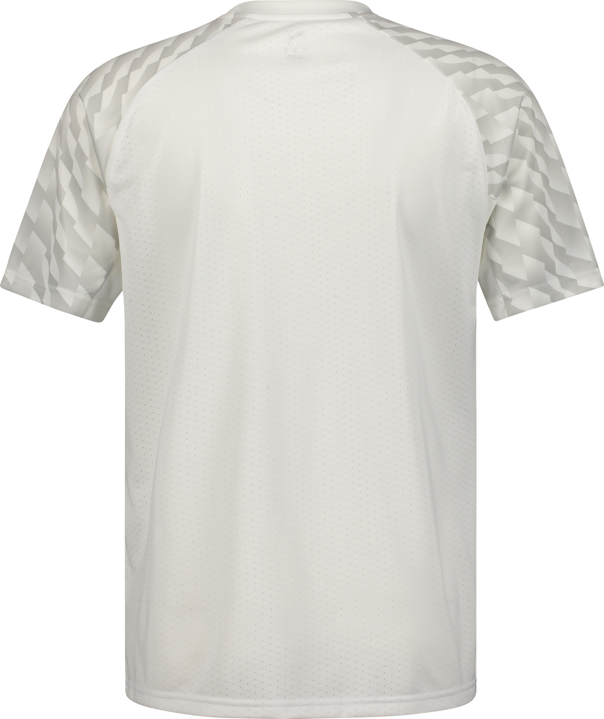 PUMA, TEAMLIGA26 JERSEY JR