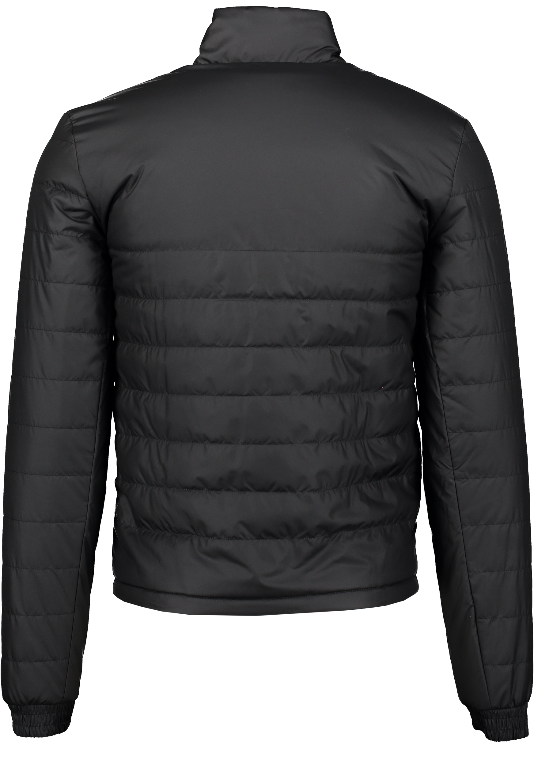 ADIDAS, Ent22 L Jkt Jr