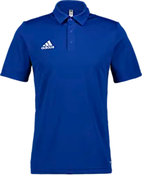 Ent22 Polo Jr - Royal Blue Standard Small1x1