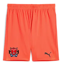 391942112101 PUMA T Goal Shorts 391942112101 PUMA T Goal Shorts Standard Small1x1
