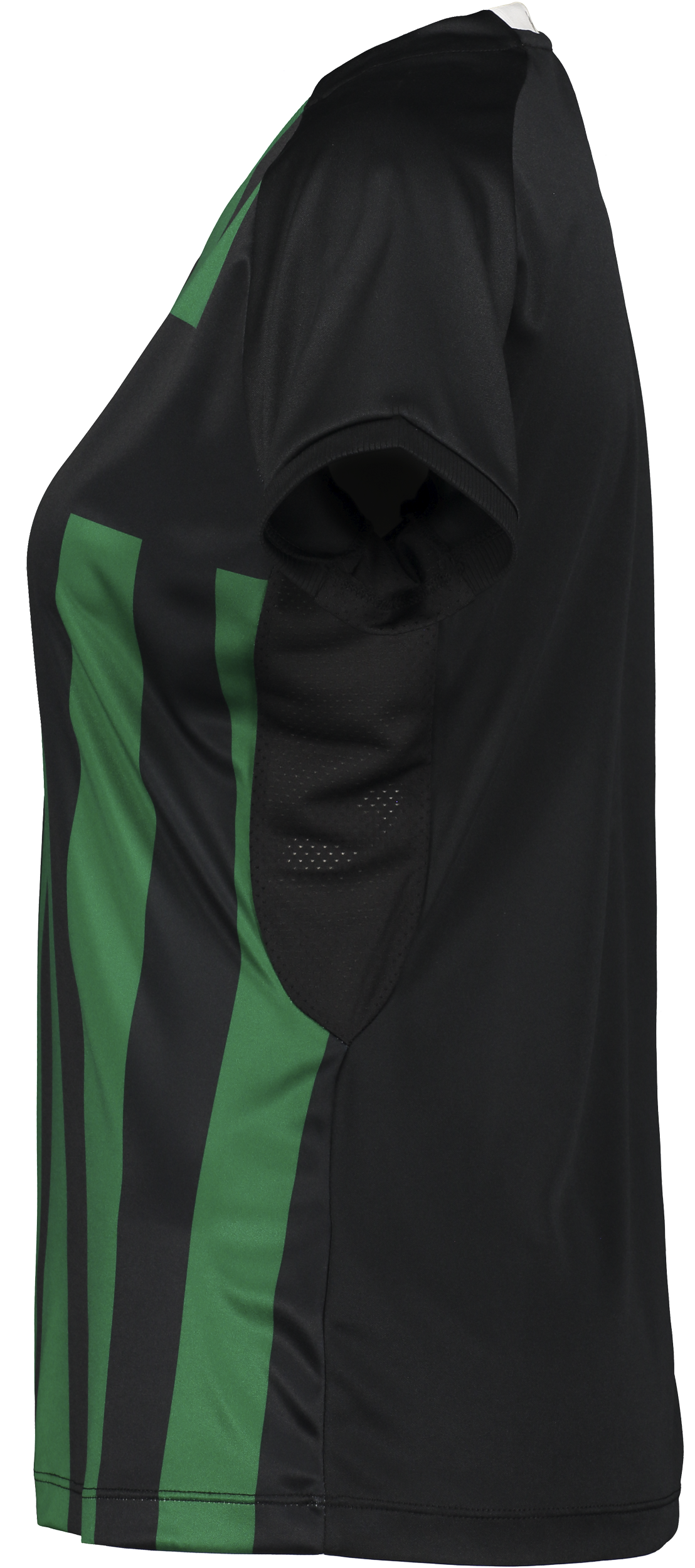 CRAFT, Prog 2.0 Striped Jsy W