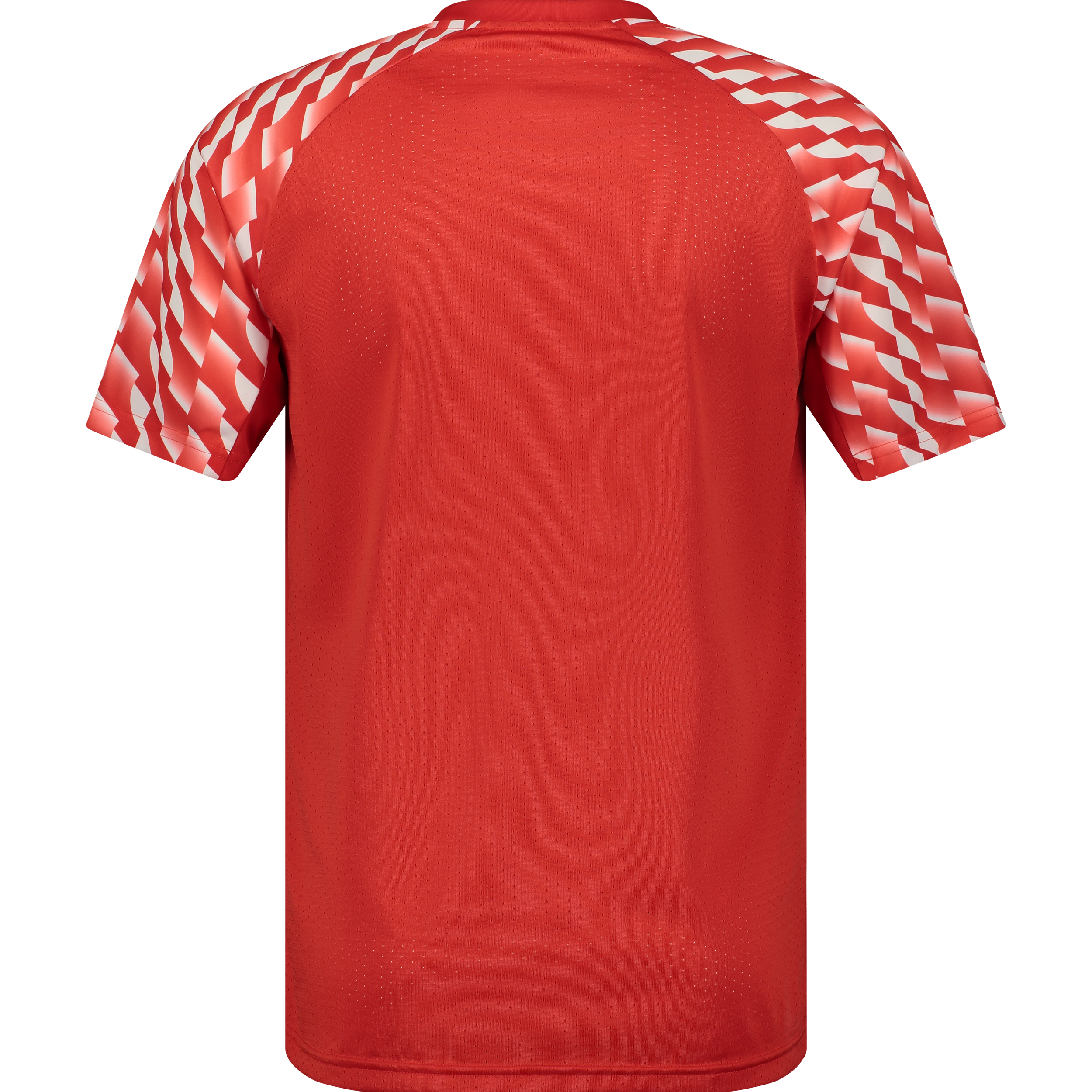 PUMA, TEAMLIGA26 JERSEY
