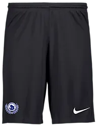 298936101101 NIKE Park III Short 298936101101 NIKE Park III Short Standard Small1x1