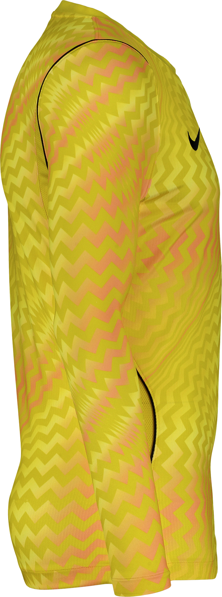 NIKE, GARDIEN VI GK LS JSY