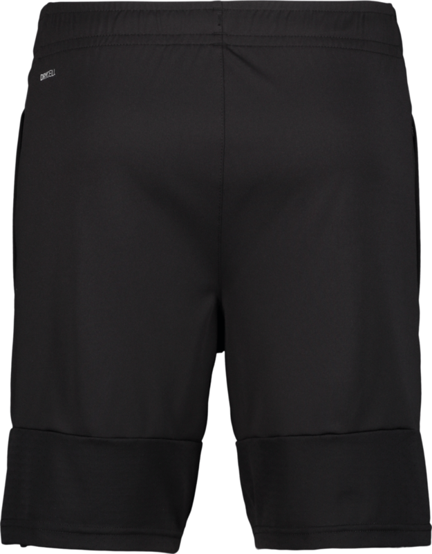 PUMA, TEAMLIGA TRAINING SHORTS