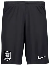 298936101101 NIKE Park III Short 298936101101 NIKE Park III Short Standard Small1x1