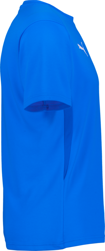 PUMA, T Goal Trg Jsy