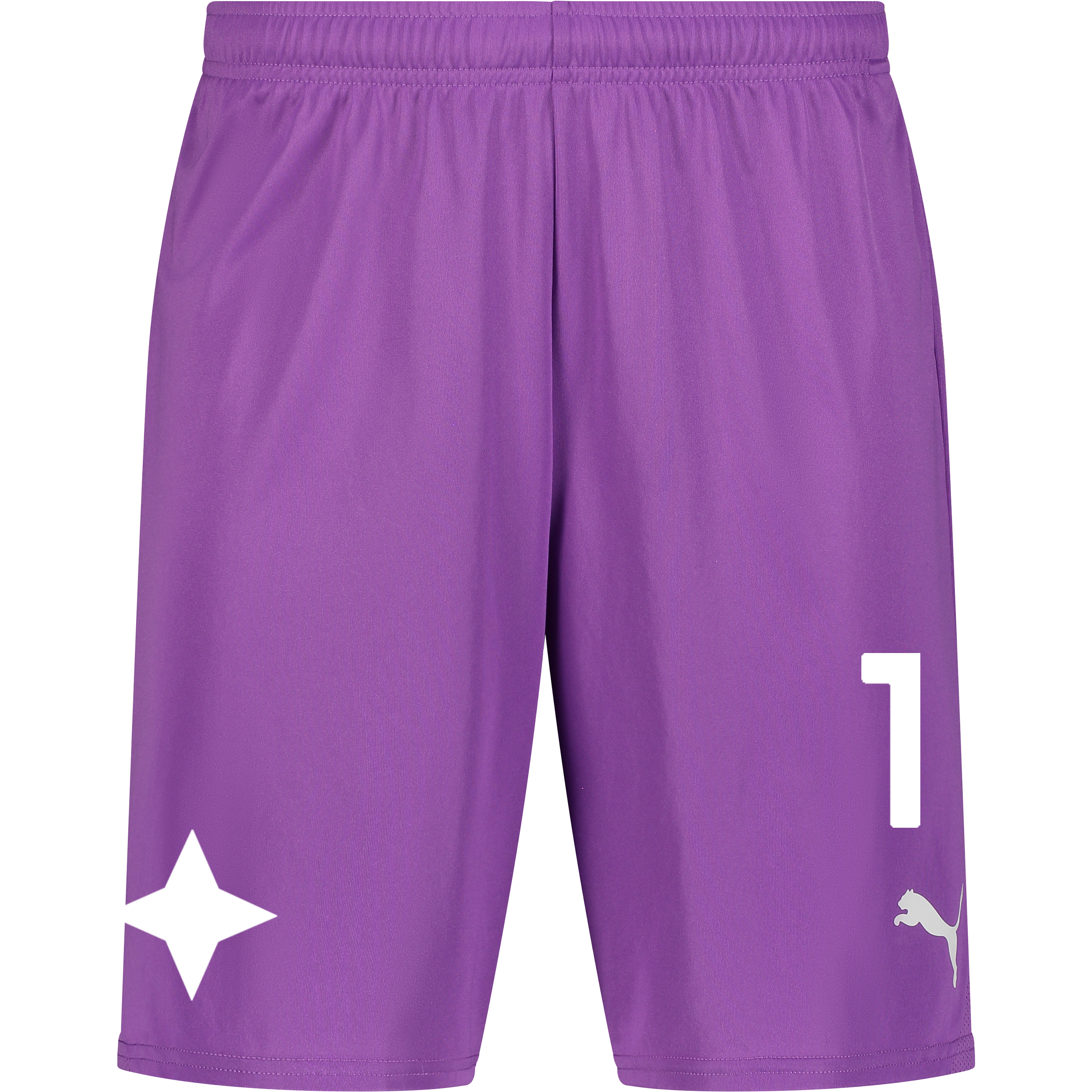 
PUMA, 
T Goal Shorts, 
Detail 1
